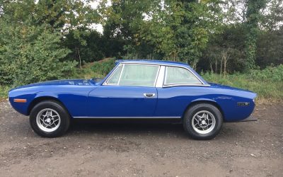 Blue Triumph Stag